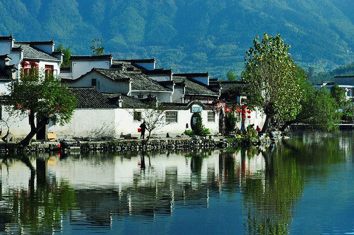 黃山全景游---黃山一地觀