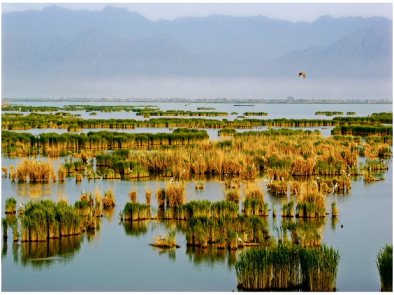 神奇寧夏沙湖、沙坡頭、